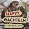 Happy Wachteln in meinem Garten