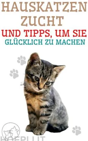 Hauskatzenzucht und Tipps, um sie glücklich zu machen