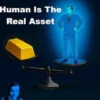 HITRA - Human Is The Real Asset