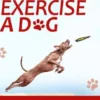 How to mentally exercise a dog