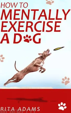 How to mentally exercise a dog