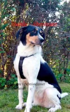 Hunde - Abenteuer