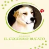 Il cucciolo bucato