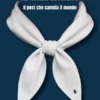 Il Messaggio