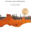 Il mondo come meditazione