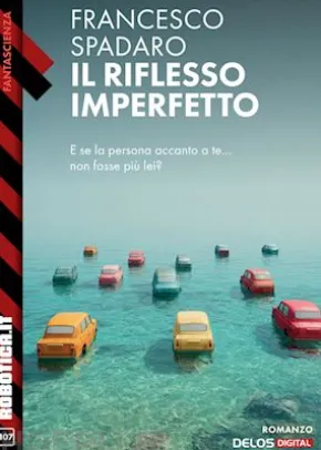 Il riflesso imperfetto