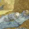 Il sogno del sud