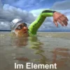 Im Element