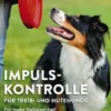 Impulskontrolle für Treib- und Hütehunde
