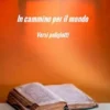 In cammino per il mondo