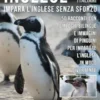 Inglese Per Italiani - Impara L'Inglese Senza Sforzo