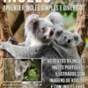 Inglês para todos - Aprender Inglês Simples e Divertido
