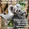 Inglês para todos - Aprender Inglês Simples e Divertido
