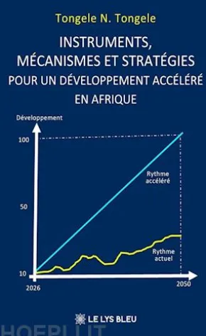 Instruments, mécanismes et stratégies pour un développement accéléré en Afrique