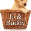 Io e Buddy