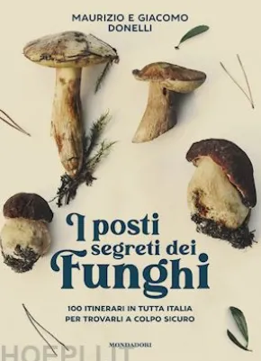 I posti segreti dei funghi