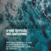 Journal de bord d'une odyssée mélanésienne