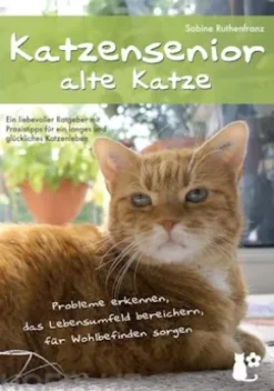 Katzensenior - alte Katze