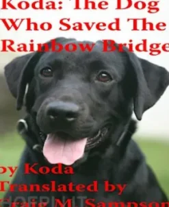 Koda: The Dog Who Saved The Rainbow Bridge
