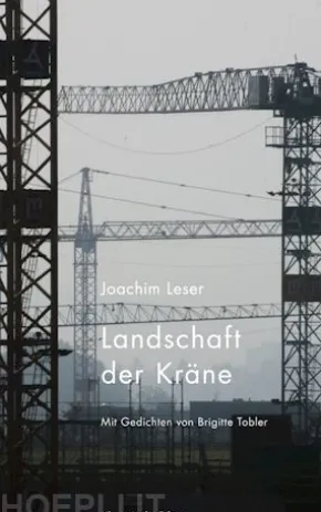 Landschaft der Kräne
