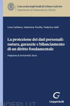 La protezione dei dati personali: natura, garanzie e bilanciamento di un diritto fondamentale - e-Book