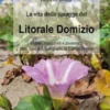 La vita delle spiagge del Litorale Domizio