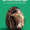 La vita inizia qui