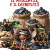 Le Magichelle e il Carbonaio