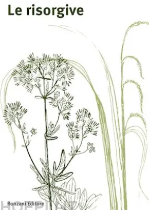 Le risorgive