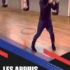 Les appuis dans le ring