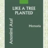 Like A Tree Planted