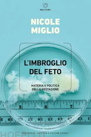 L IMBROGLIO DEL FETO