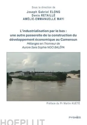 L'industrialisation par le bas : une autre passerelle de la construction du développement économique au Cameroun