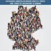 Lingua per integrare, lingua per integrarsi