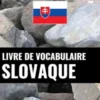 Livre de vocabulaire slovaque
