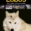 Lobos. Mitos y leyendas. El lobo en la actualidad