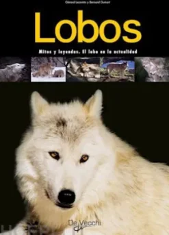Lobos. Mitos y leyendas. El lobo en la actualidad