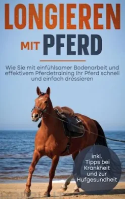 Longieren mit Pferd