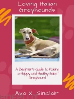 Loving Italian Greyhounds