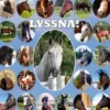 Lyssna!