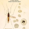 Malaria