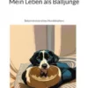 Mein Leben als Balljunge
