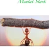 Mental Stark