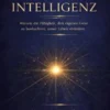 Meta-Intelligenz