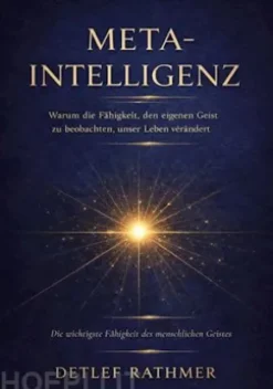 Meta-Intelligenz