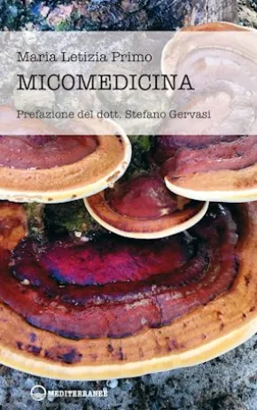 Micomedicina
