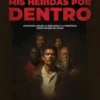 Mis heridas por dentro