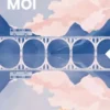 Moi moi