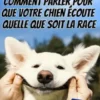 Mon Chien Est Devenu Un Ange