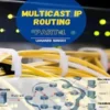 MULTICAST IP ROUTING